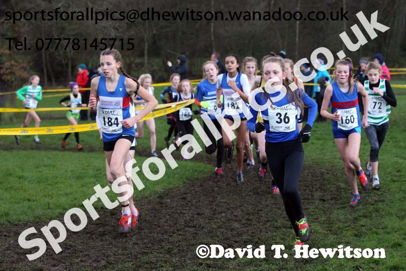 Girls under-13 Northern Cross Country Champs., Witton Park, Blackburn. Photo: David T. Hewitson/Sports for All Pics